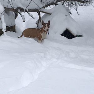 Meet your Posher, Angi